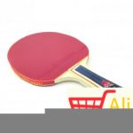 big-16708101_stoni-profi-3