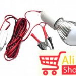 big-21245979_lampa-bramax-2