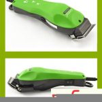 big-32697714_571734de845c43-91077866zoofari-38-3