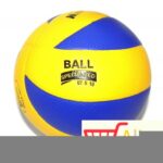 big-53239756_5a11add38d7b43-72260959odbojka-minsa-1