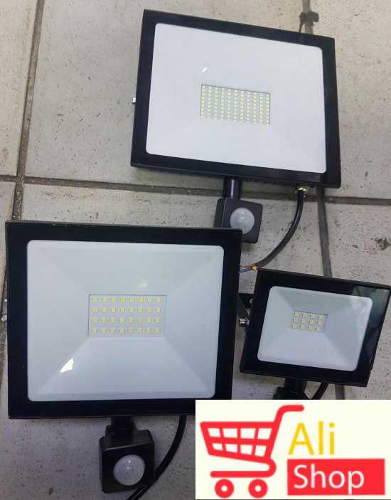 big-72043278_5c4307d8ca4ff8-6355573420190119_121314