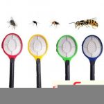 big-72744419_5c55c37e90c221-90200243IMG-286622716d5