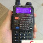 big-77424587_5cce07d4d1bb58-88508357IMG-53535b58ed1