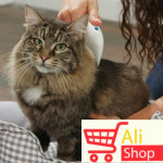 big-83754359_5d865854a70075-82922790IMG-7f2abee1f2c