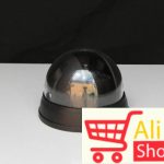 big-9880267_fake-cam-kupola-2