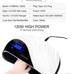 141070228_63112a78c477a4-61996682big-115237263_6