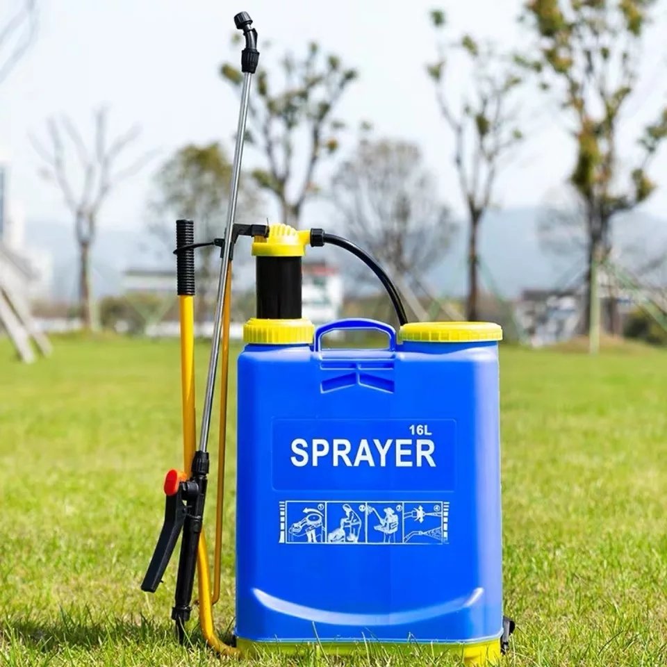 110021731_601dc6579eadf4-51420427901460466-62542