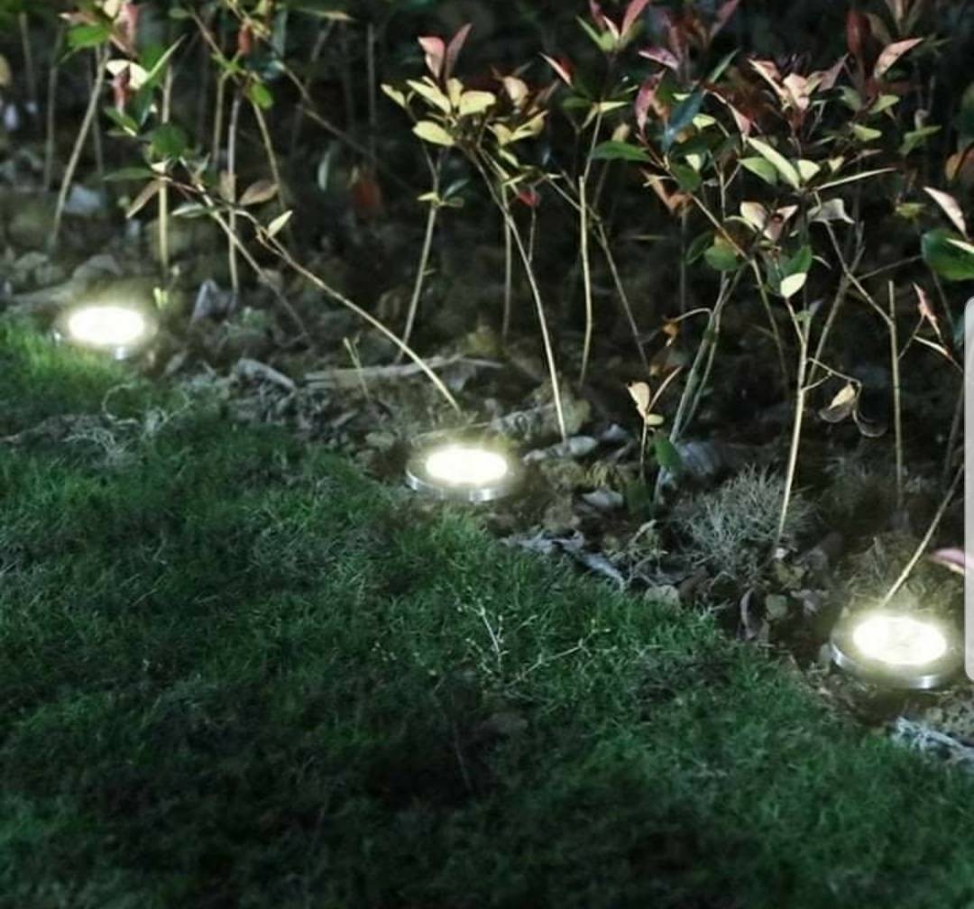 110532014_60284d043c0279-712219011613253877611