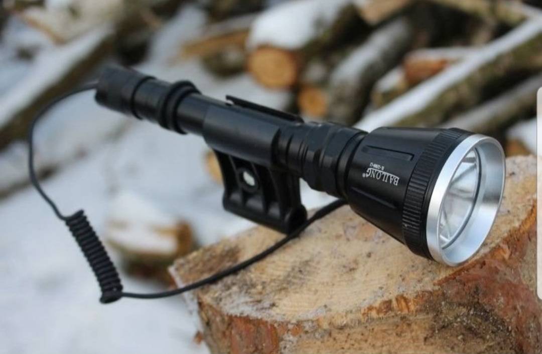 110536029_60286af8616e27-403068051613261551854