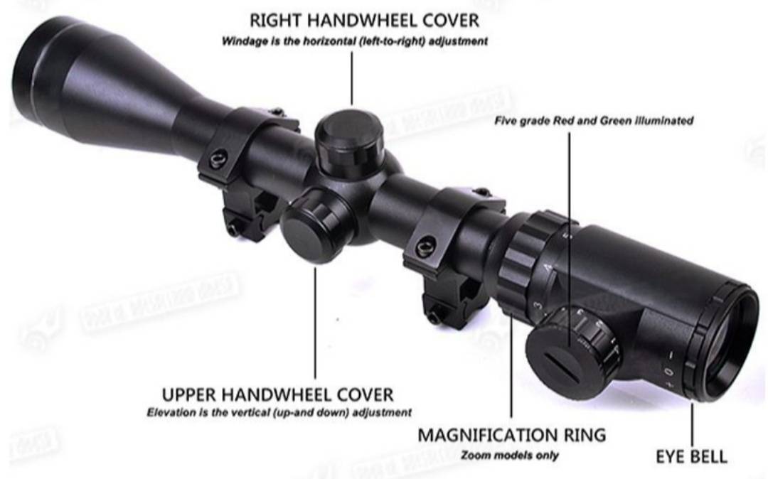 131122232_61f27258195a55-931594491643278930324