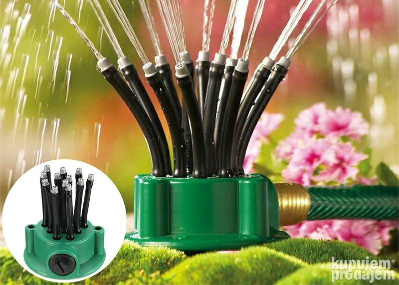 134517696_623c53efb333e1-465763881648120755089