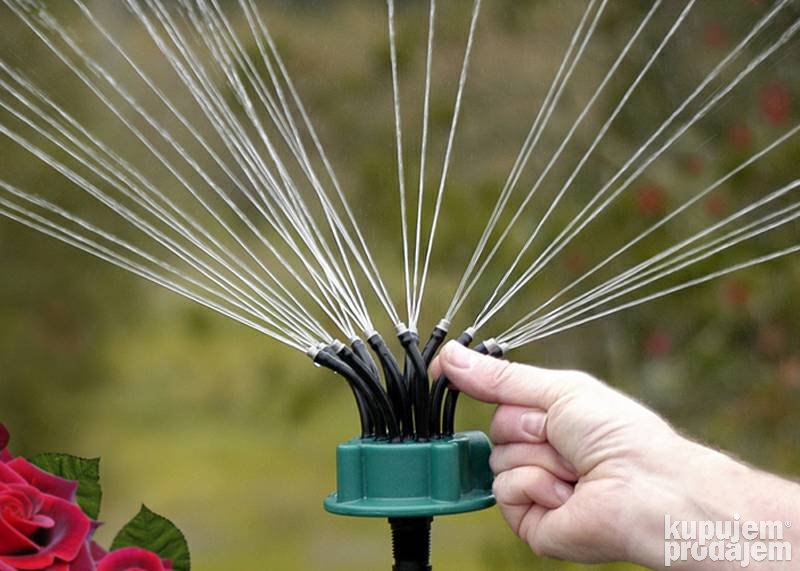 134517696_623c53efb57e78-830857861648120755134