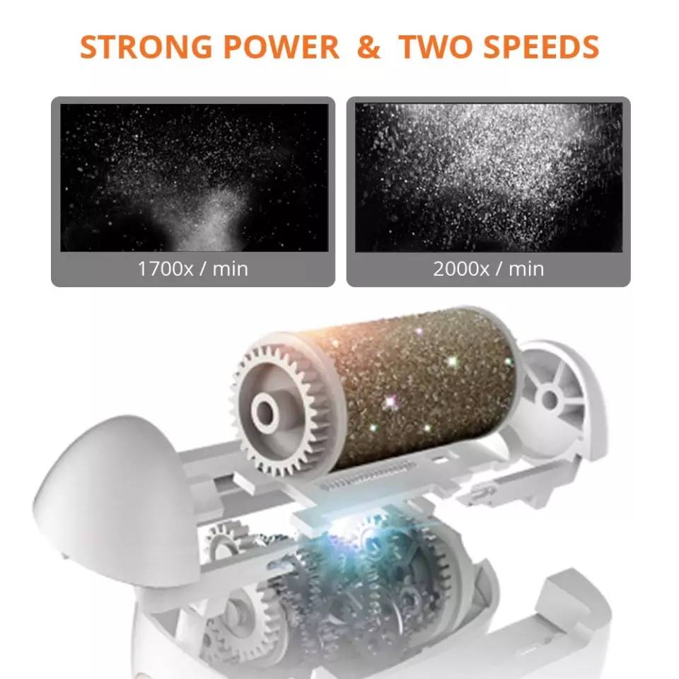 135690562_62570161226599-427982031649869086156