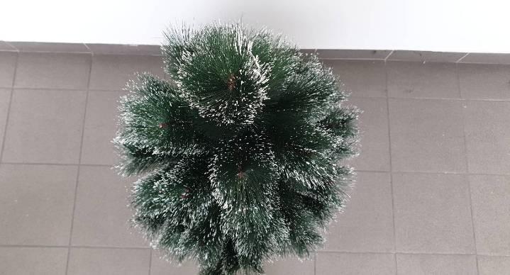 126277269_61879b48c3ca19-800227011636276966193