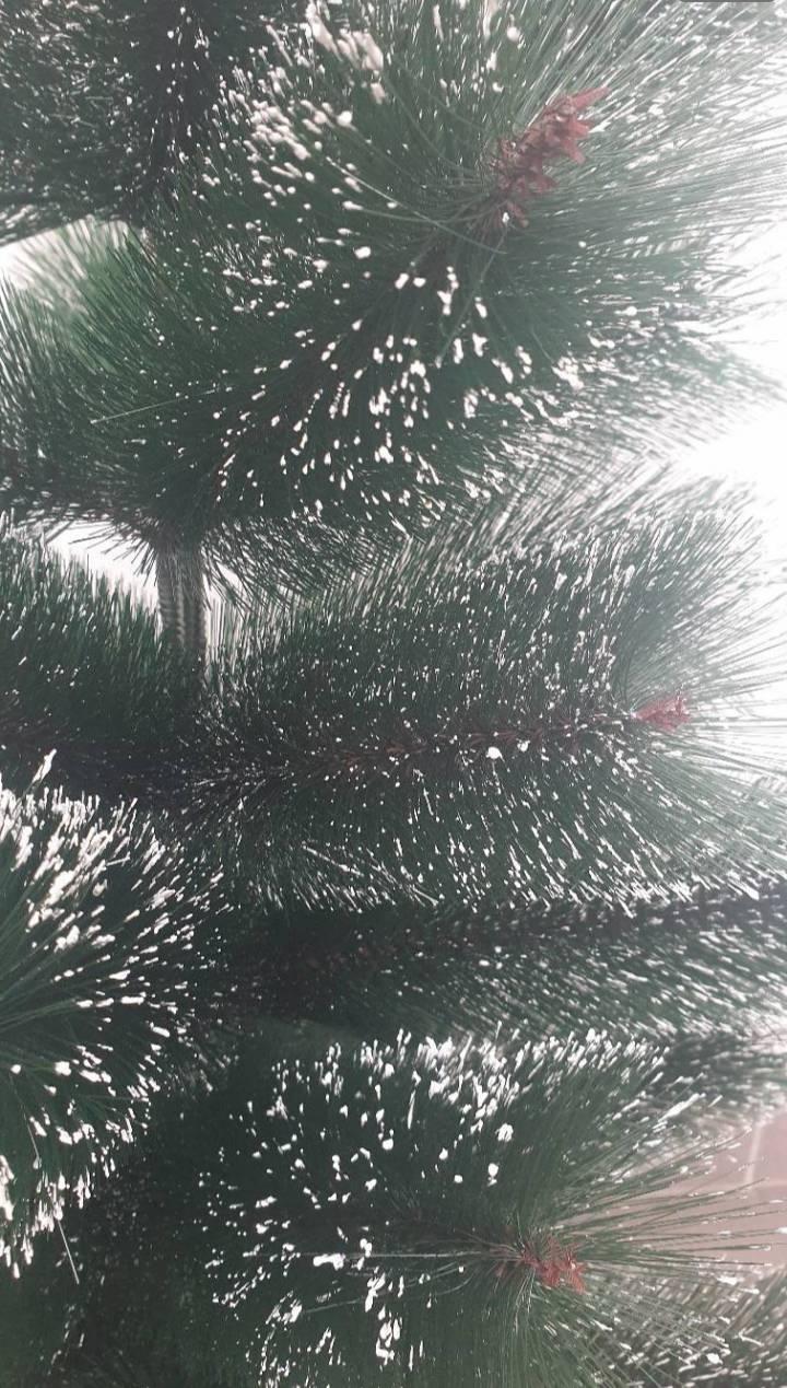 126277502_61879c7b84c845-458652671636277359914